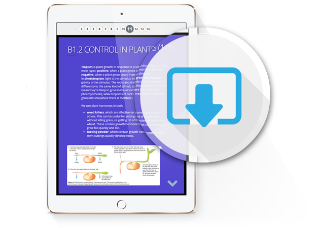 GoConqr Slides maker