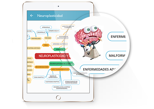 programas para hacer mapas conceptuales